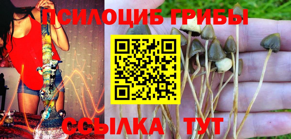 Галлюциногенные грибы ЛСД  Вход с VPN  наркотики  Ливны 